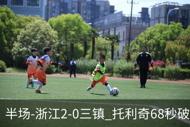 半场-浙江2-0三镇 托利奇68秒破门米特里策无解一条龙